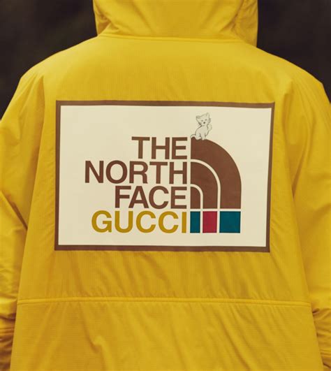 the north face gucci veste|north face Gucci tracksuit.